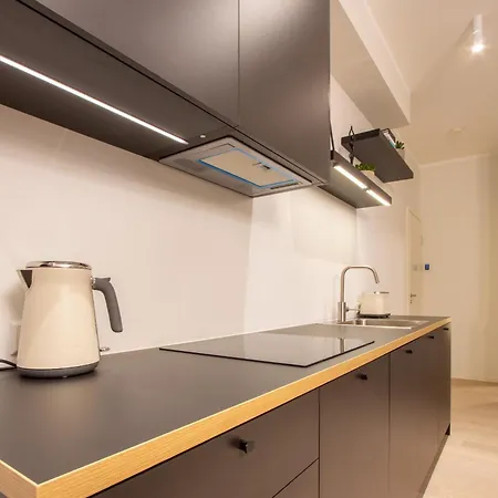 Oa Cozy Roofapartment With Sauna Daire Tartu