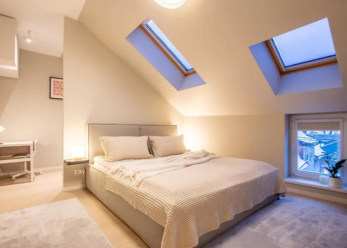 Oa Cozy Roofapartment With Sauna * Tartu